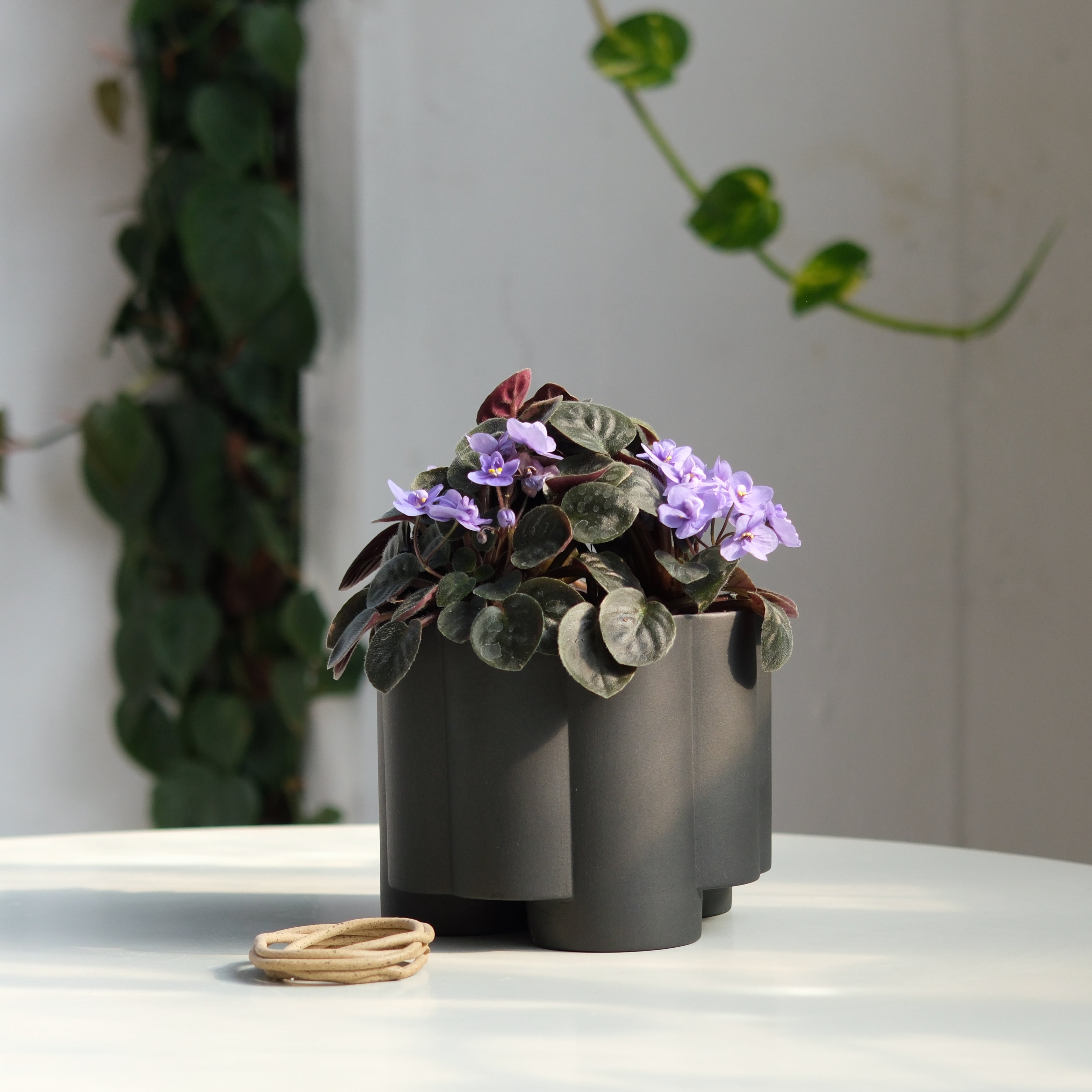 The Pillar Desktop Planter | Studio Stoneware