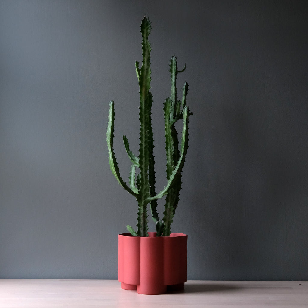 The Pillar Desktop Planter | Studio Stoneware