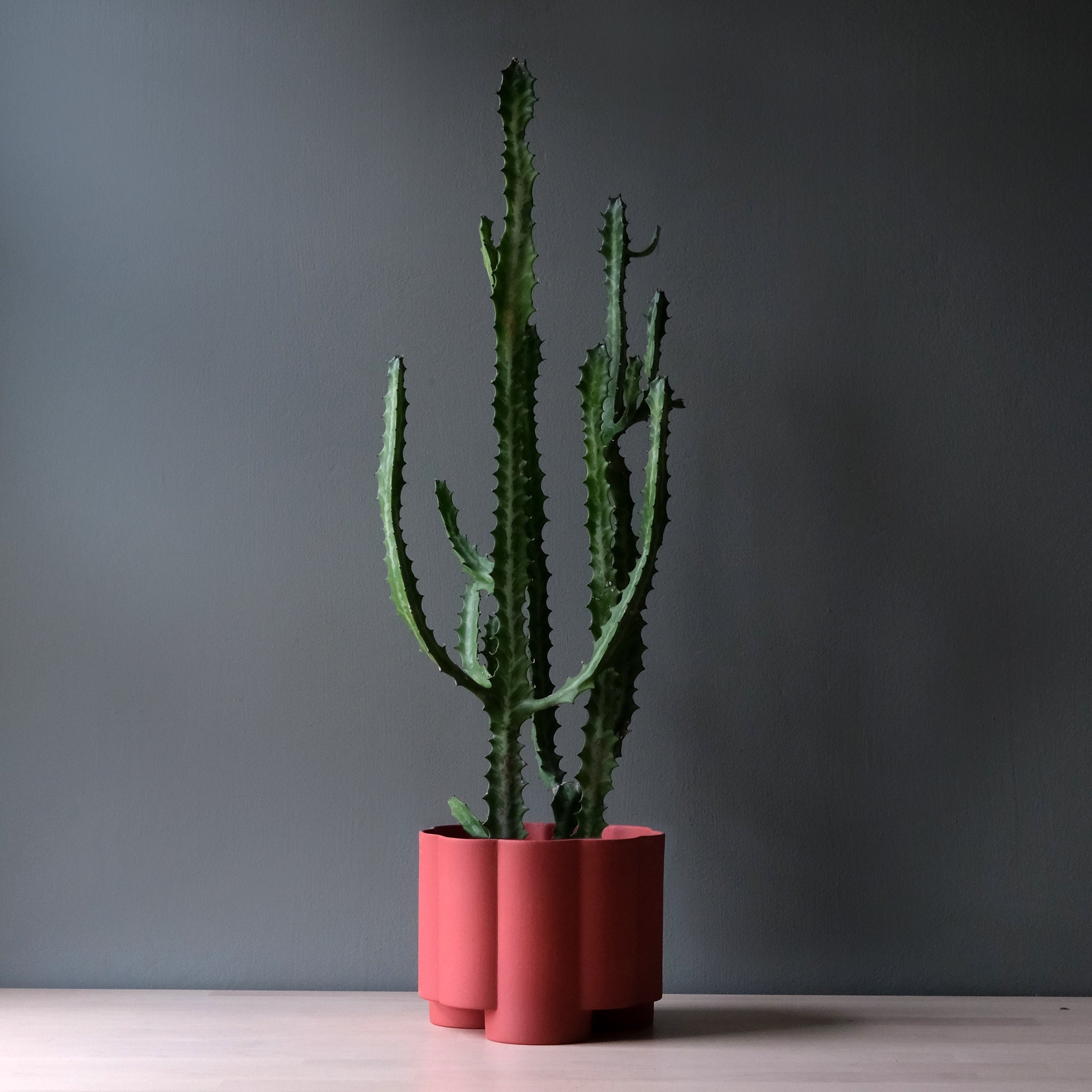 The Pillar Desktop Planter | Studio Stoneware