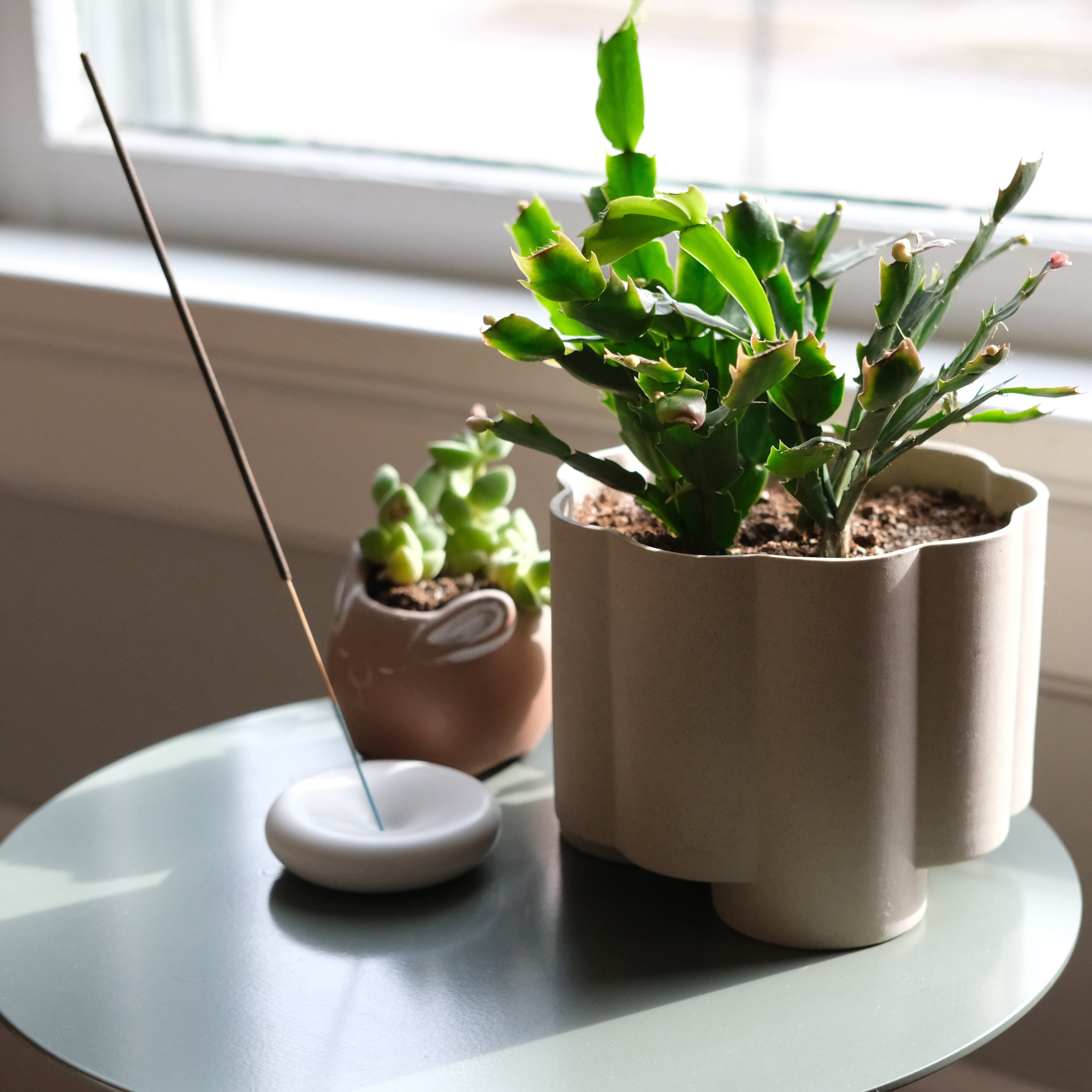 The Pillar Desktop Planter | Studio Stoneware