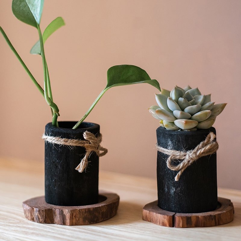 The Carbon Vessel | Organic Charcoal Desktop Planter