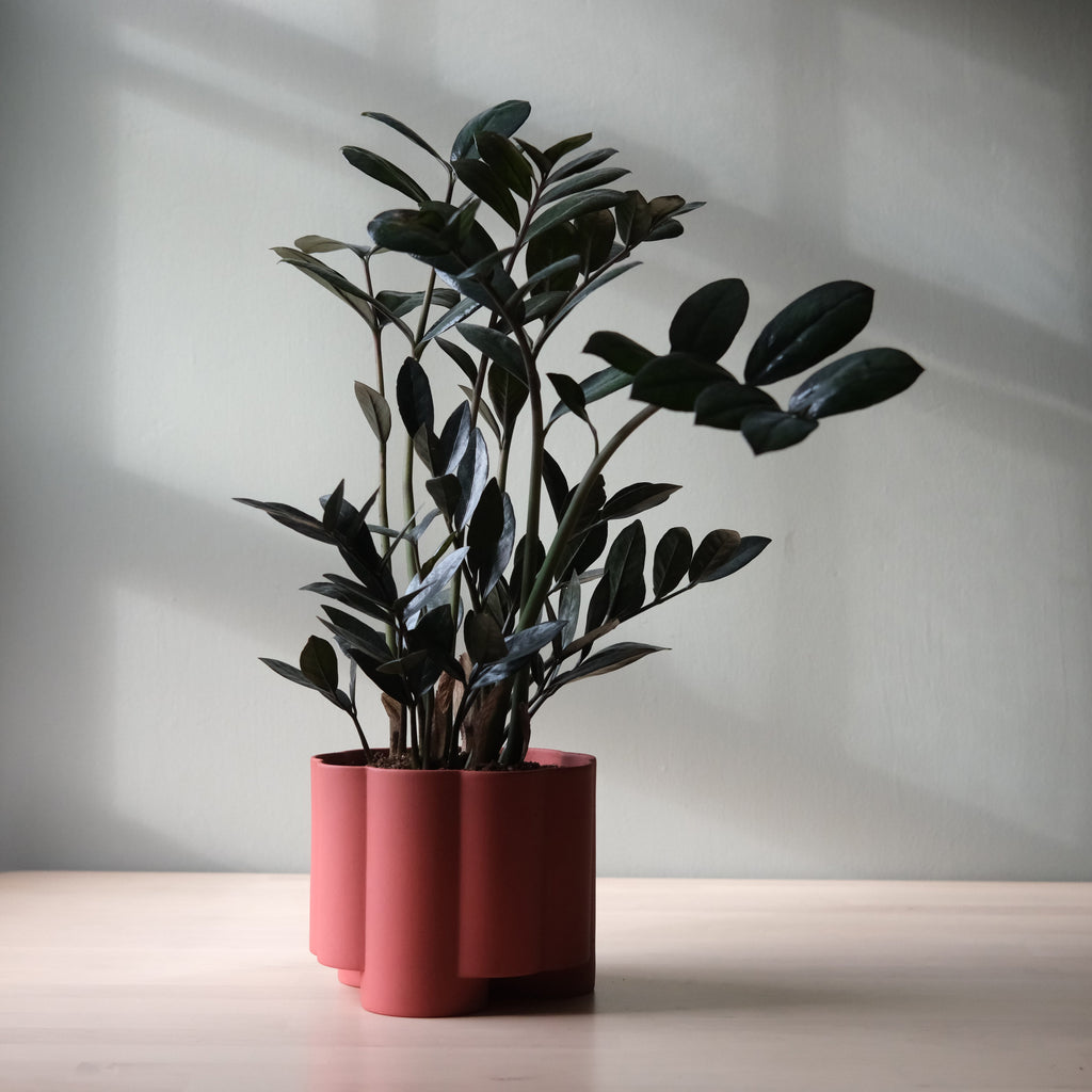 The Pillar Desktop Planter | Studio Stoneware