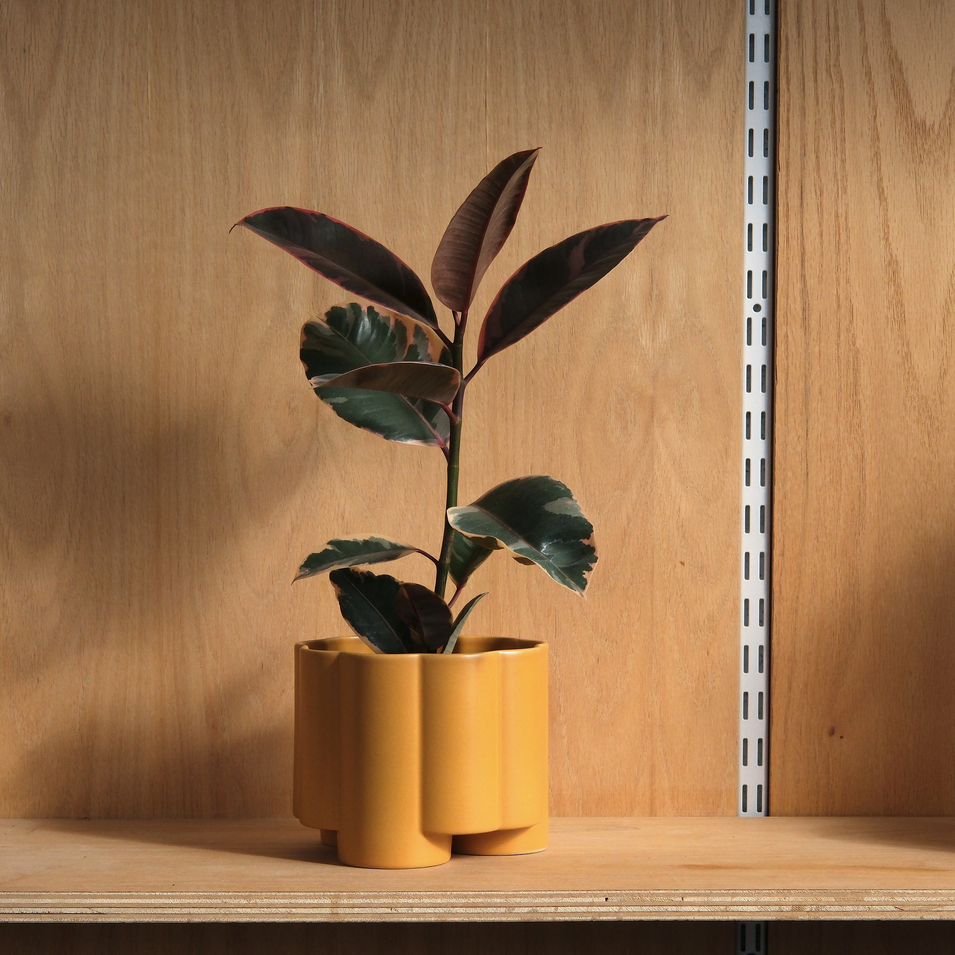 The Pillar Desktop Planter | Studio Stoneware