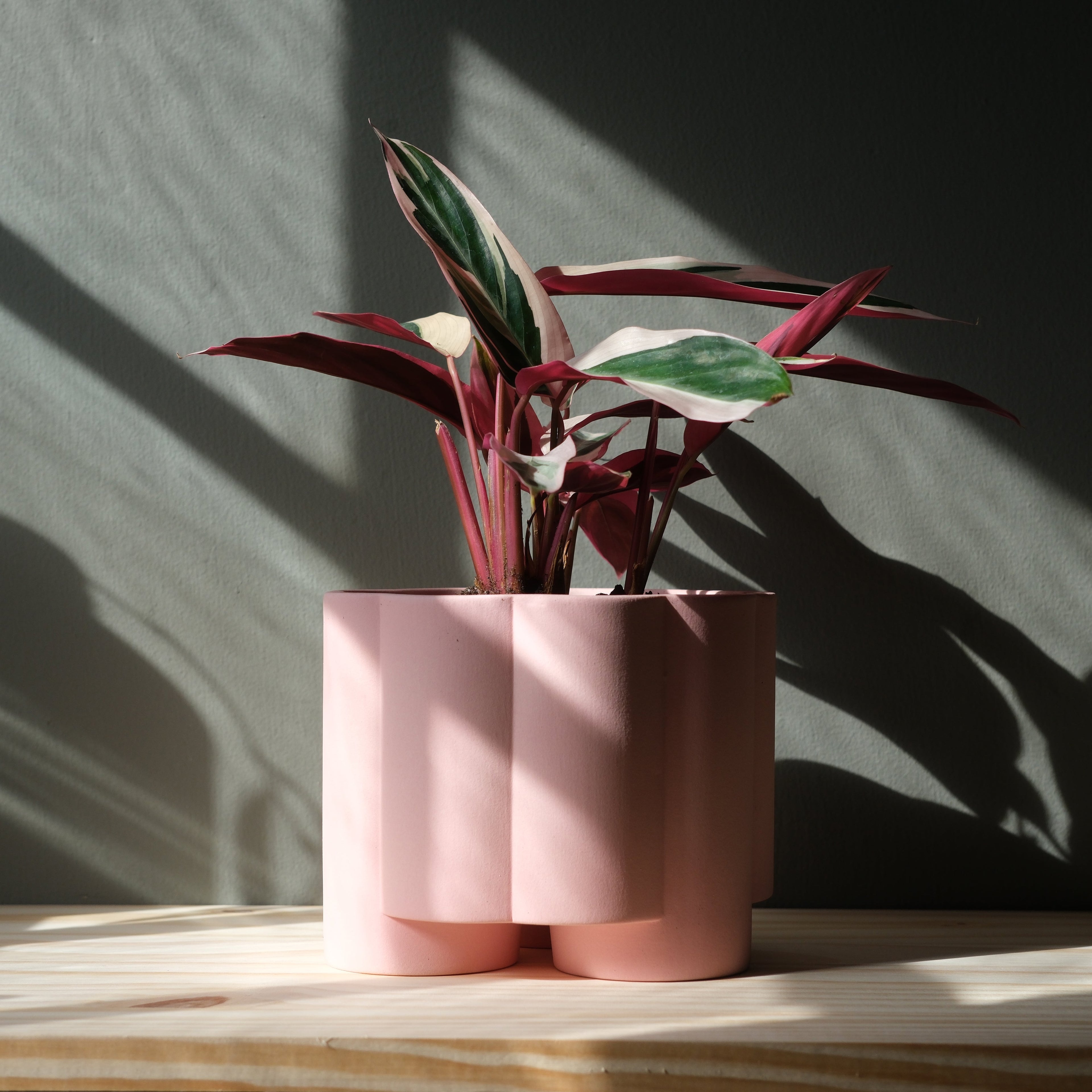 The Pillar Desktop Planter | Studio Stoneware