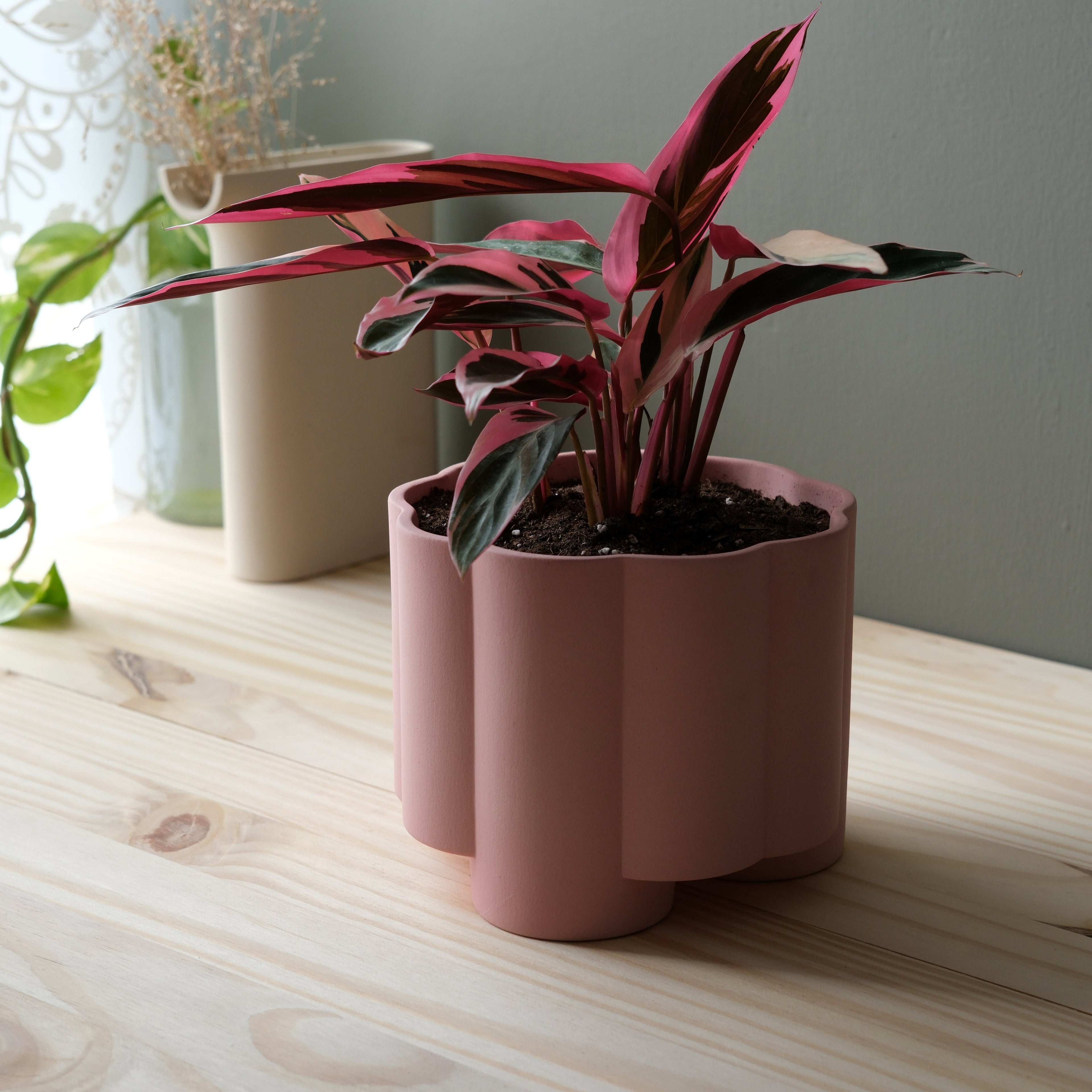The Pillar Desktop Planter | Studio Stoneware